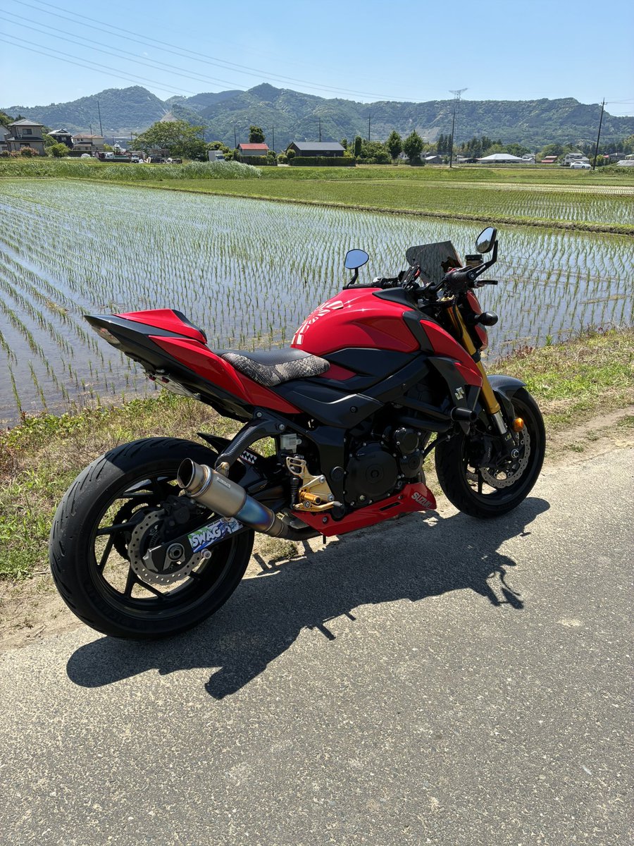 ダメ犬 tweet media