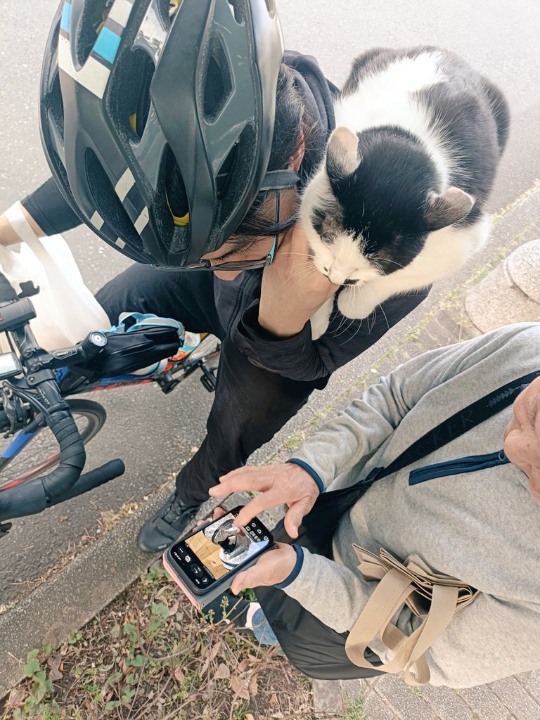 片山 玲一郎 tweet media
