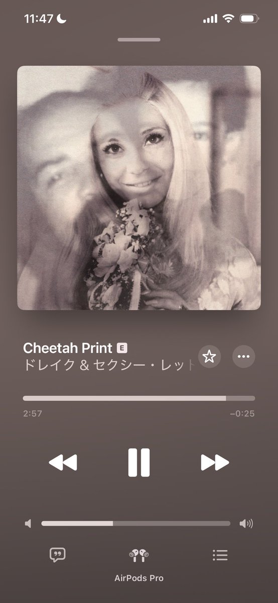 cloudy_890's tweet photo. つまり全てはこれのこと
かなりアホくさい、honestly, nevermindからの進化は全てこの曲に詰まってます。French touchと sexyy redは正解すぎる https://t.co/2febYvTt22