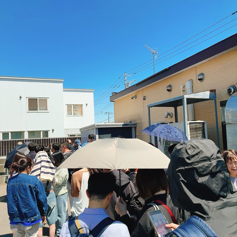 にゃんこと同居の海月 tweet media