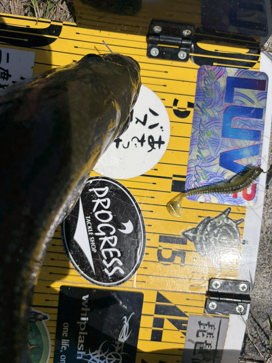 toroly_'s tweet photo. 今日はクレイジーさんのホームにやって来ました!
数年ぶりのバスをスイングインパクト セドリックにて釣れました🐟
クレイジーさんありがとうございます(*´︶`*)ノ
#スイングインパクト
#セドリック
#LUV2
#Basshack https://t.co/g4FbI8JoSQ