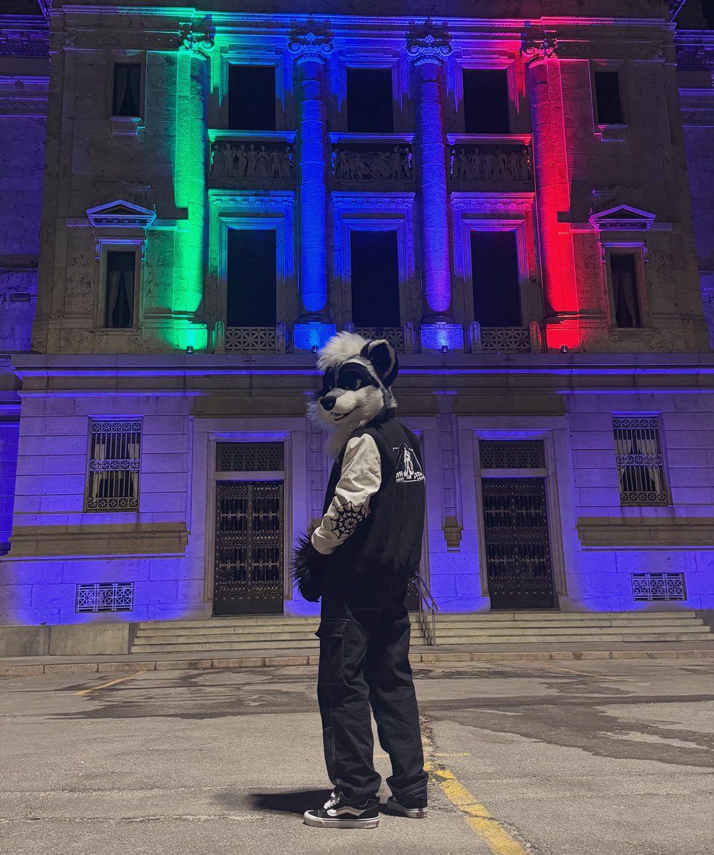 trashercoon's tweet photo. ‘Sup 🦝 https://t.co/N9FKh1032u