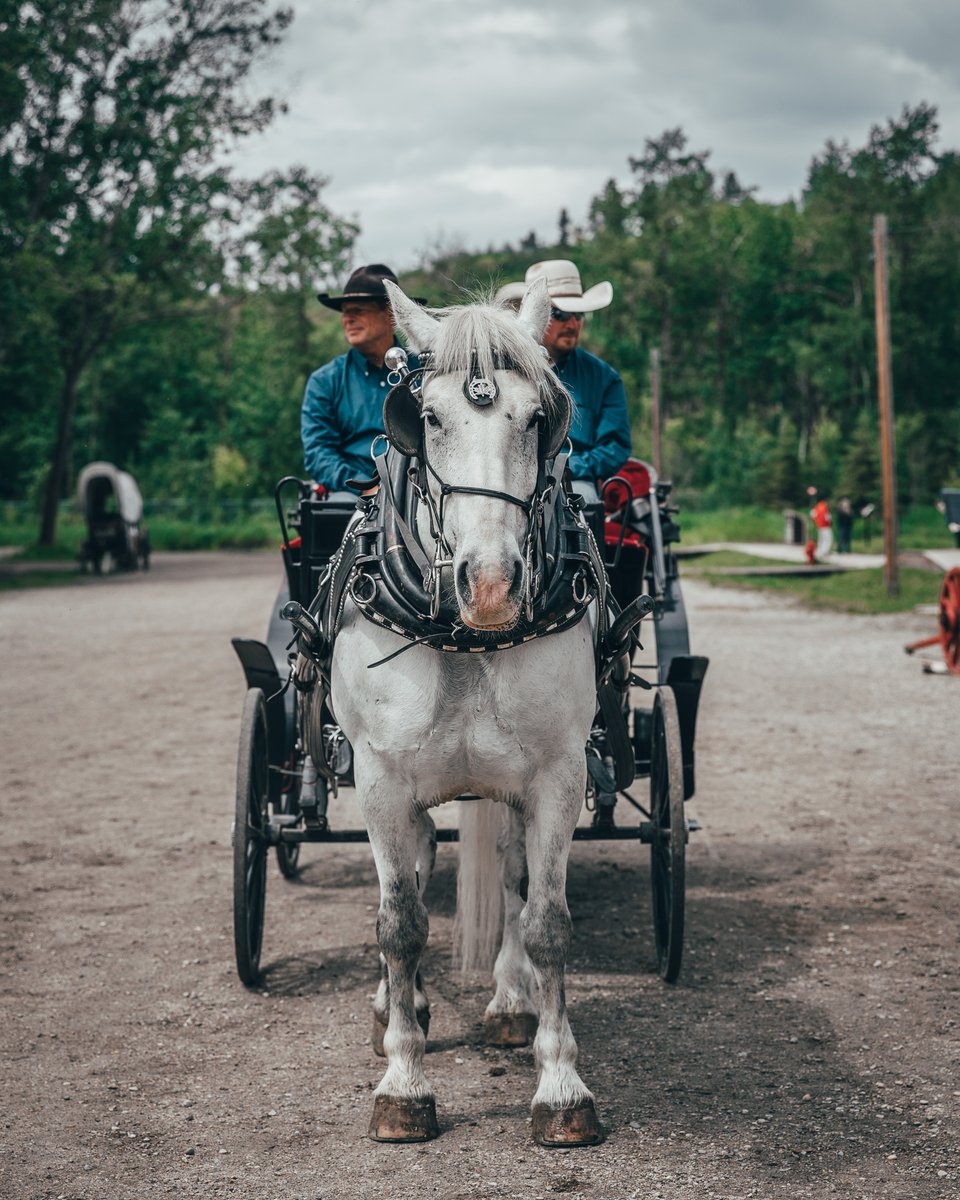 Fort Edmonton Park tweet media