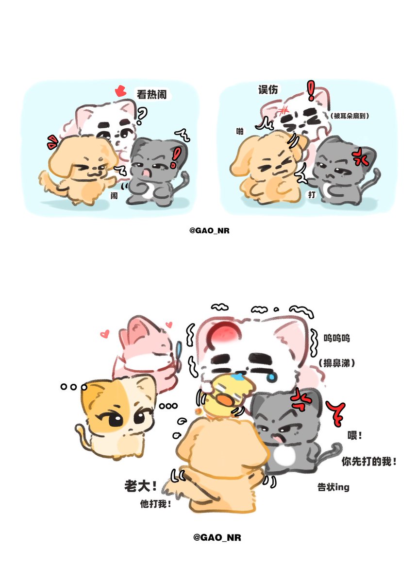 GAO_NR tweet media
