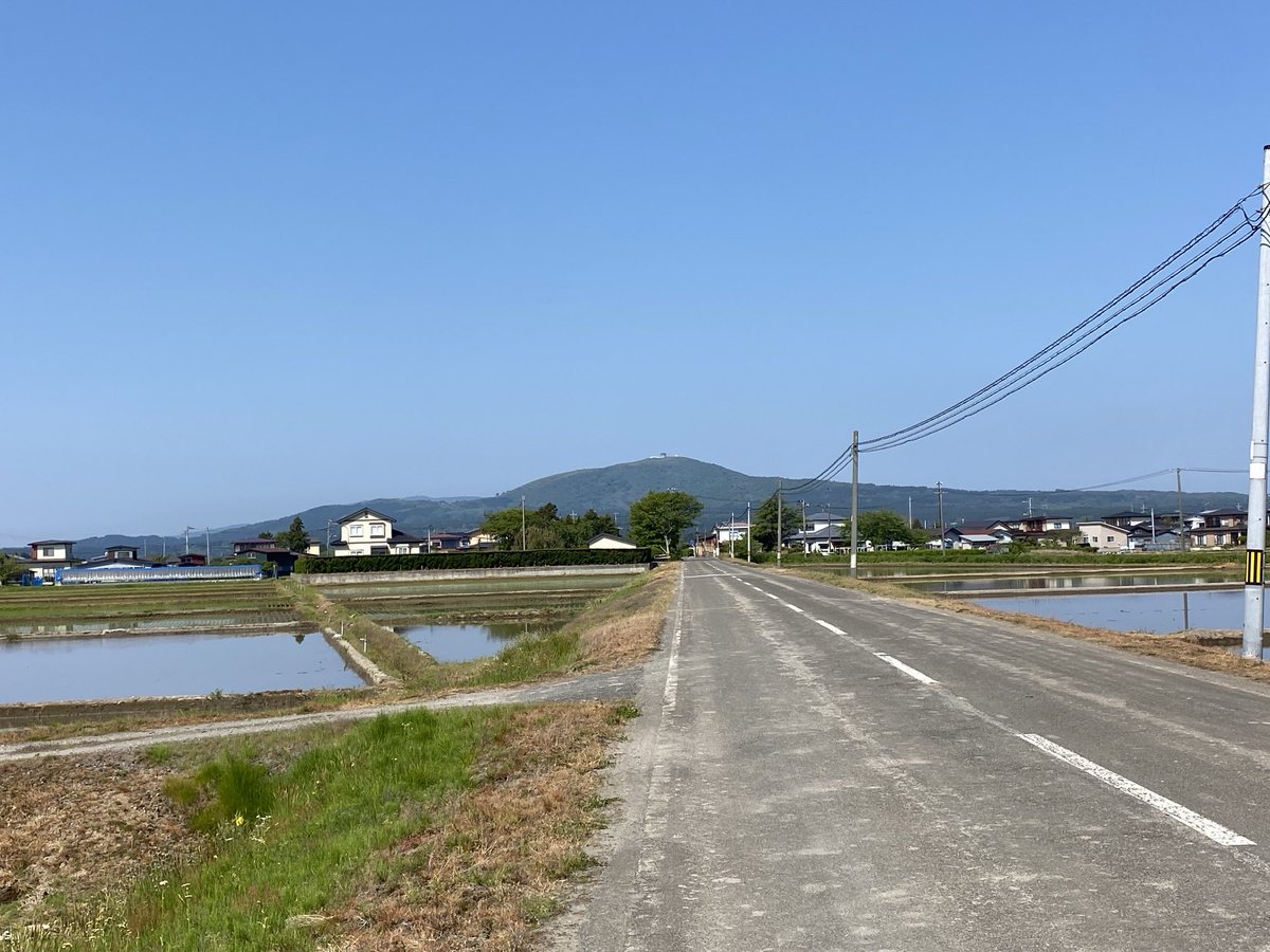 oripachi tweet media