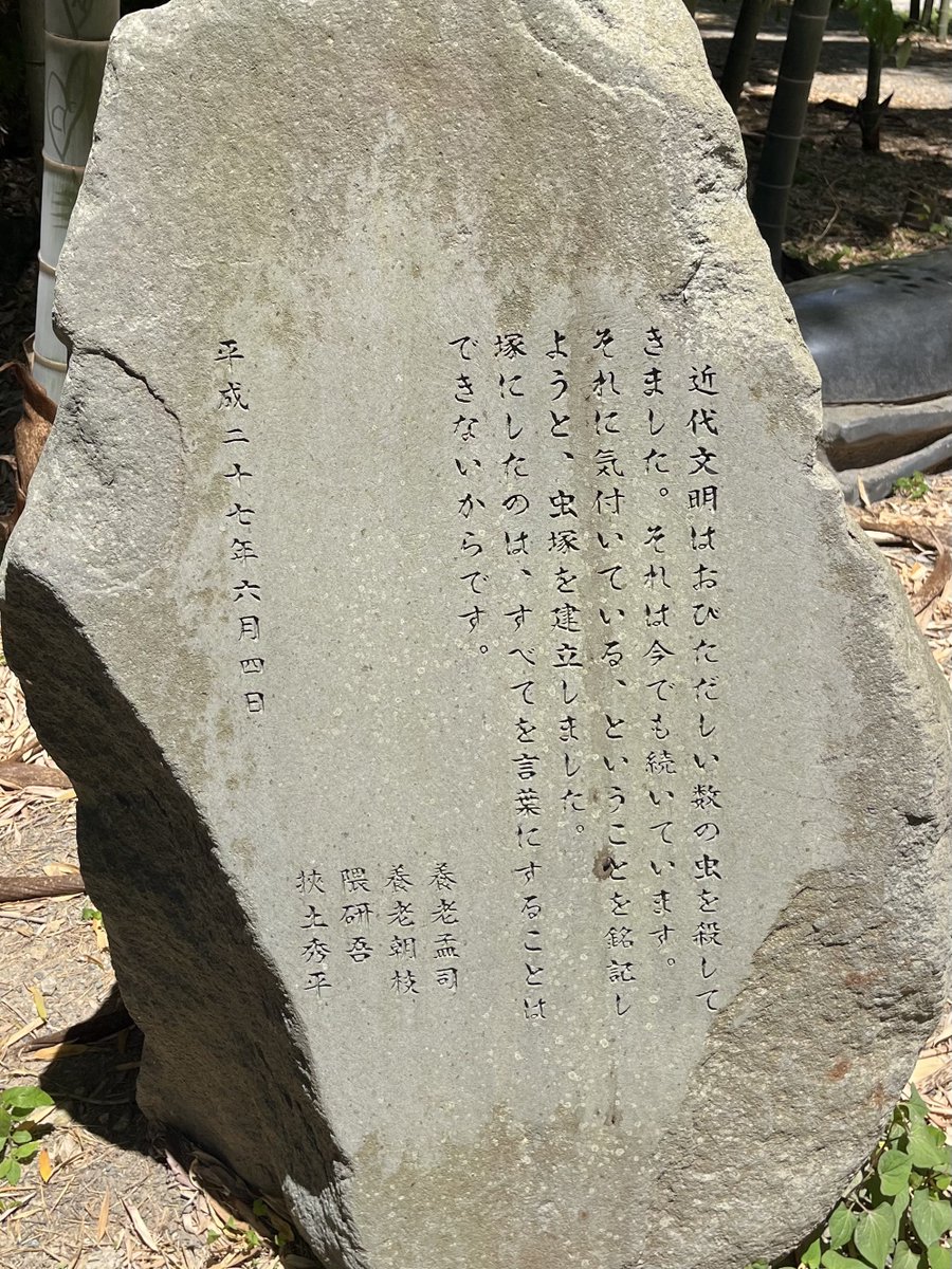 鈴木俊貴 Toshitaka Suzuki tweet media
