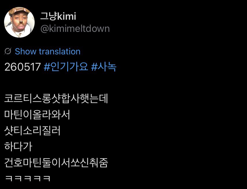빈찬의 고양이 🐈 tweet media