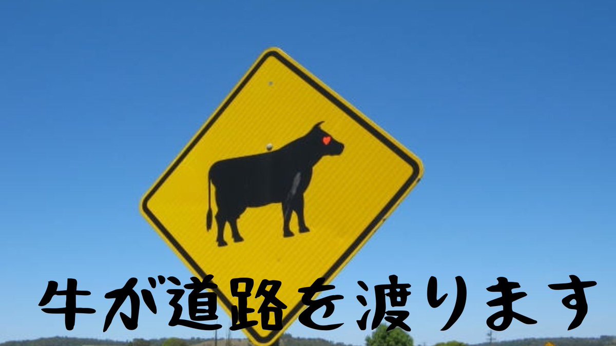 綿雪ひのり☃️🎀🦍🩵321所属🩵 tweet media
