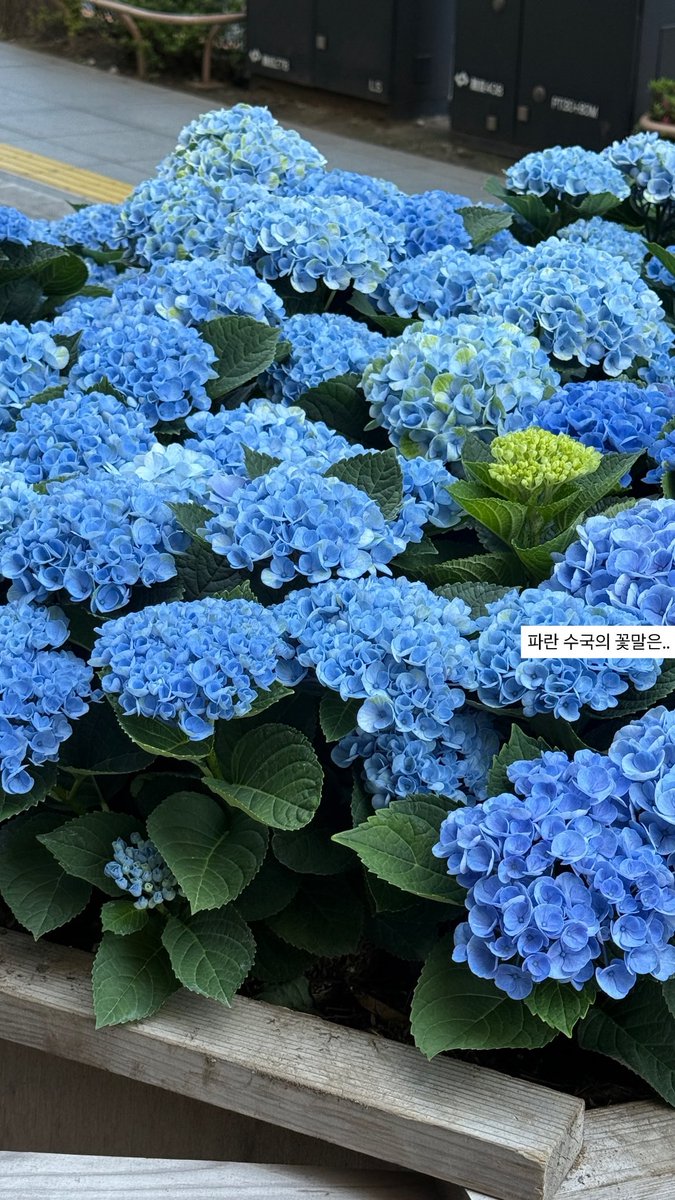 ㅁ tweet media