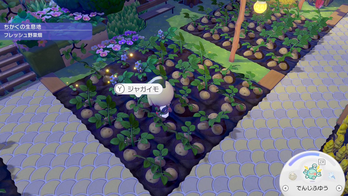 墓の上のファラオ tweet media