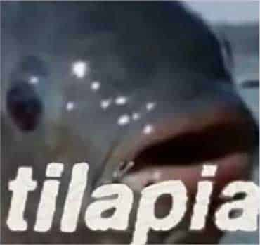 CBLOW_BR's tweet photo. TERMINAMOS A SÉRIE

T1Lápias 2 X 0 SKT Teleton https://t.co/Thfeg7M89L