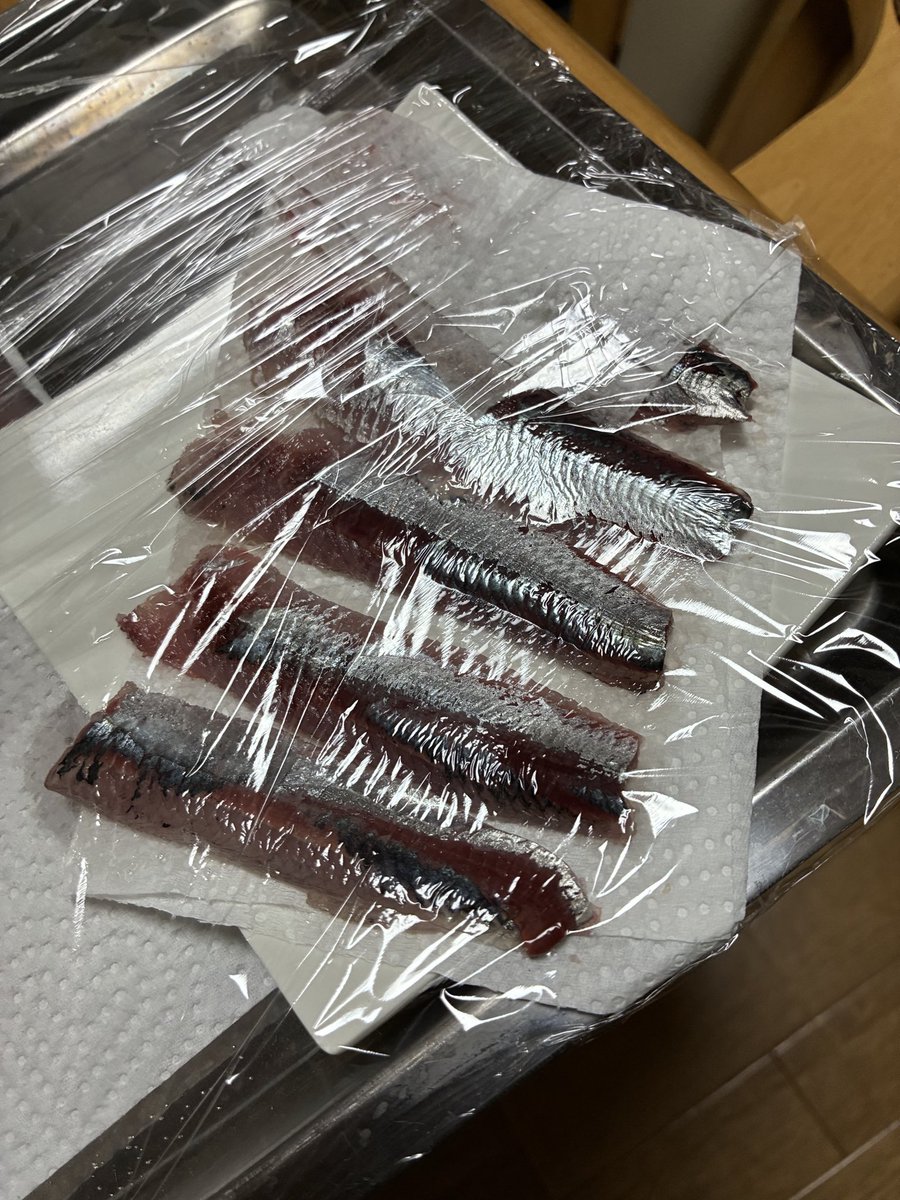 ryu3_F's tweet photo. 5時30分スタート
8時00分頃から群れが寄ってきて周りでもイワシが上がってました。9時30分頃から群れが見えるが食いが渋くなり納竿

美味しくいただきます😋 https://t.co/Aioir7Tl35