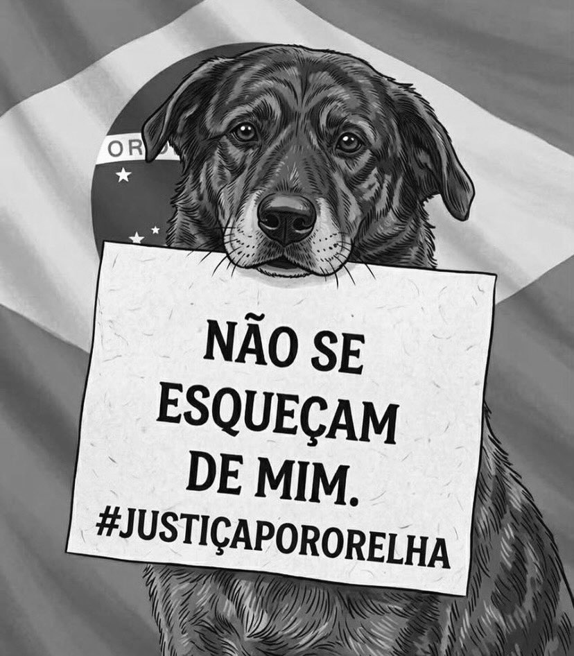 Cris Maria 🚩 tweet media