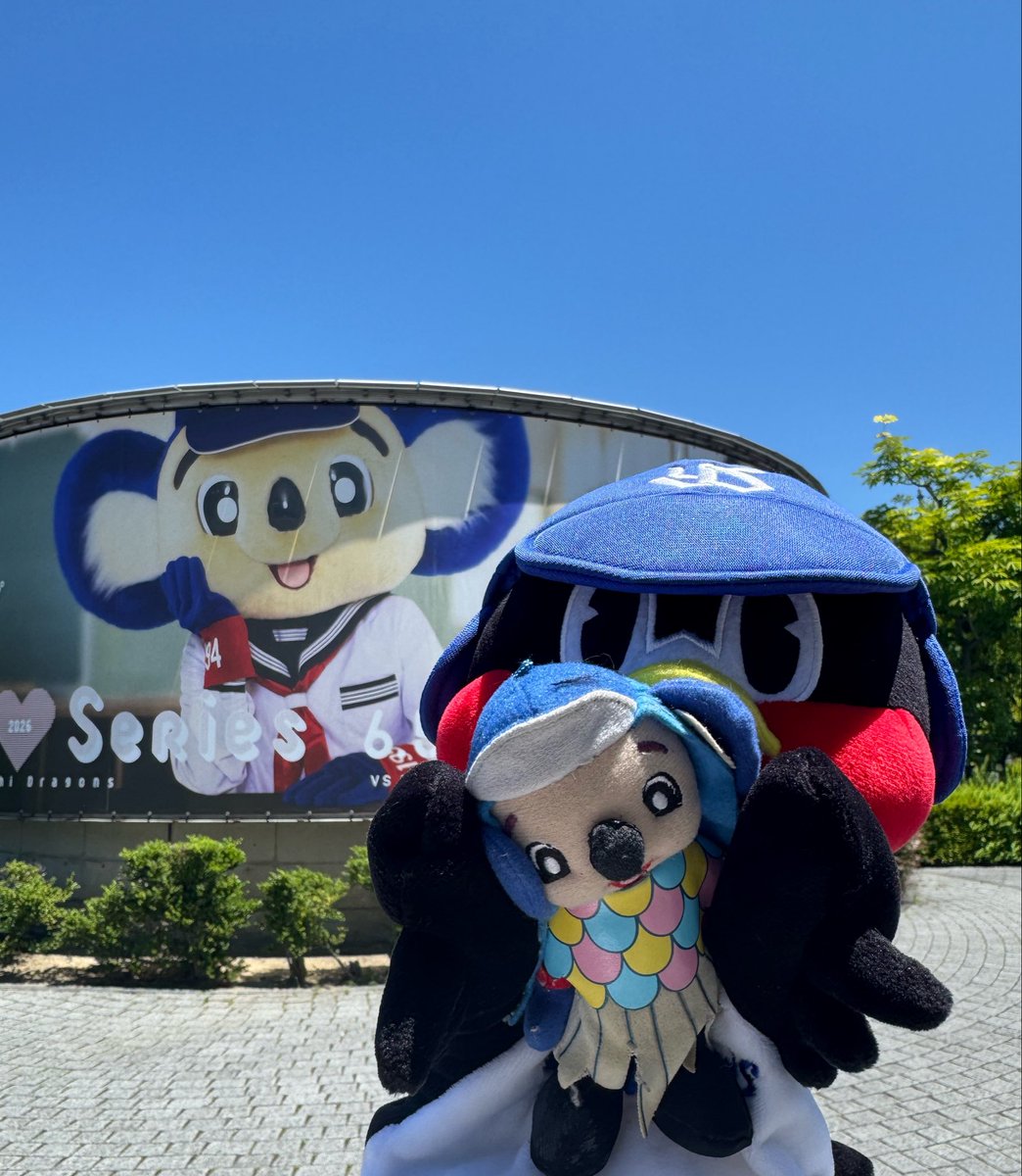 みつき🐨 tweet media