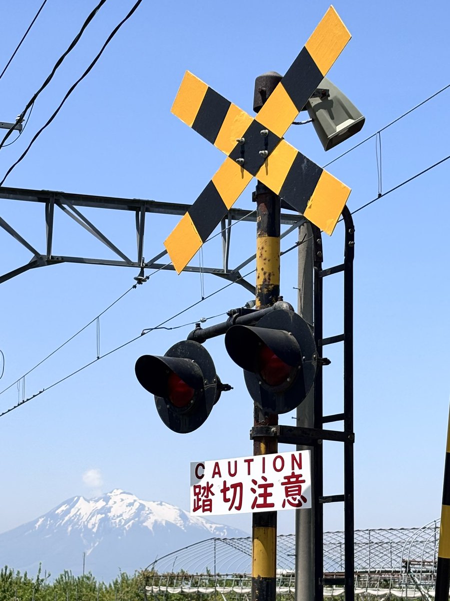 よっしー tweet media