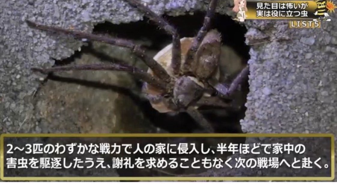 話題のツイート動画 tweet media