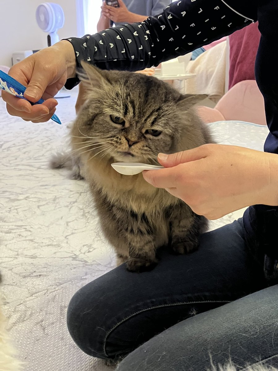 おやつをください🍪