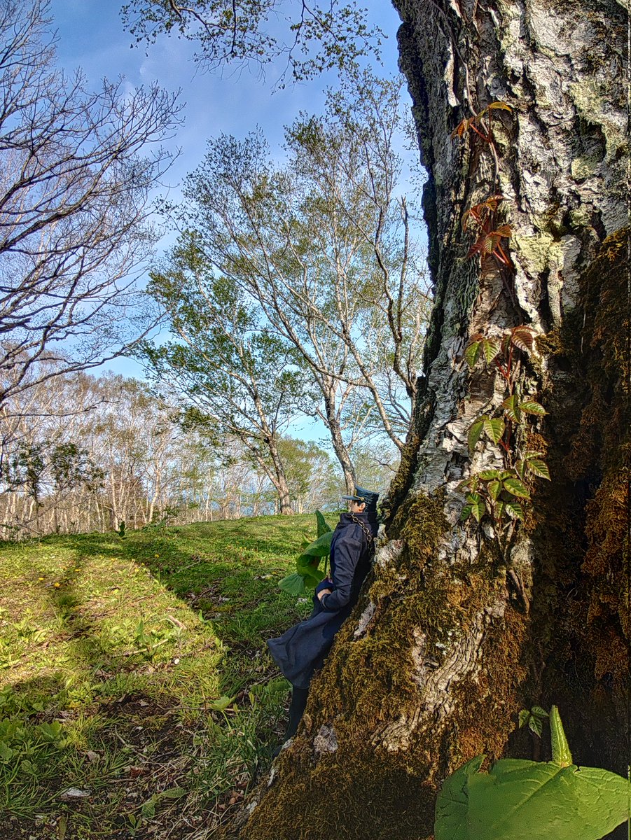 MACHl423137's tweet photo. 天気が良かったけど、気温は10度前後でした。 https://t.co/HUWf2u1eFd
