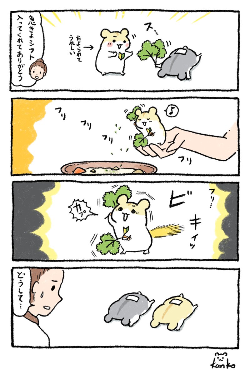 kanko＊パセリハム tweet media