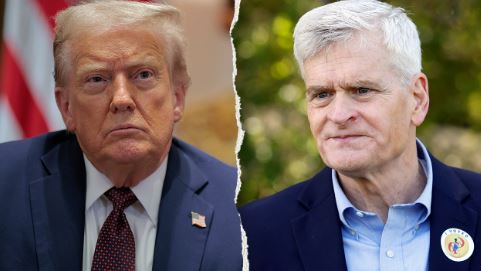 Fox News Politics tweet media