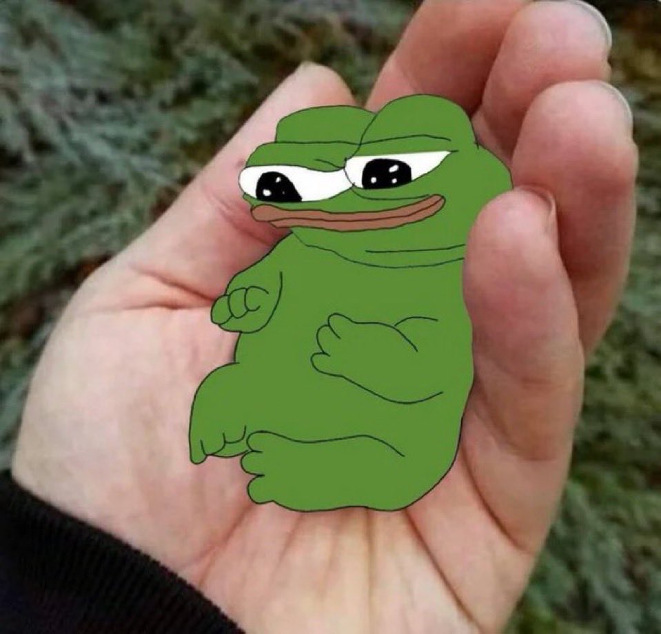 HH Groyper tweet media