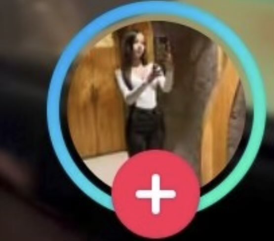 kim sexler tweet media