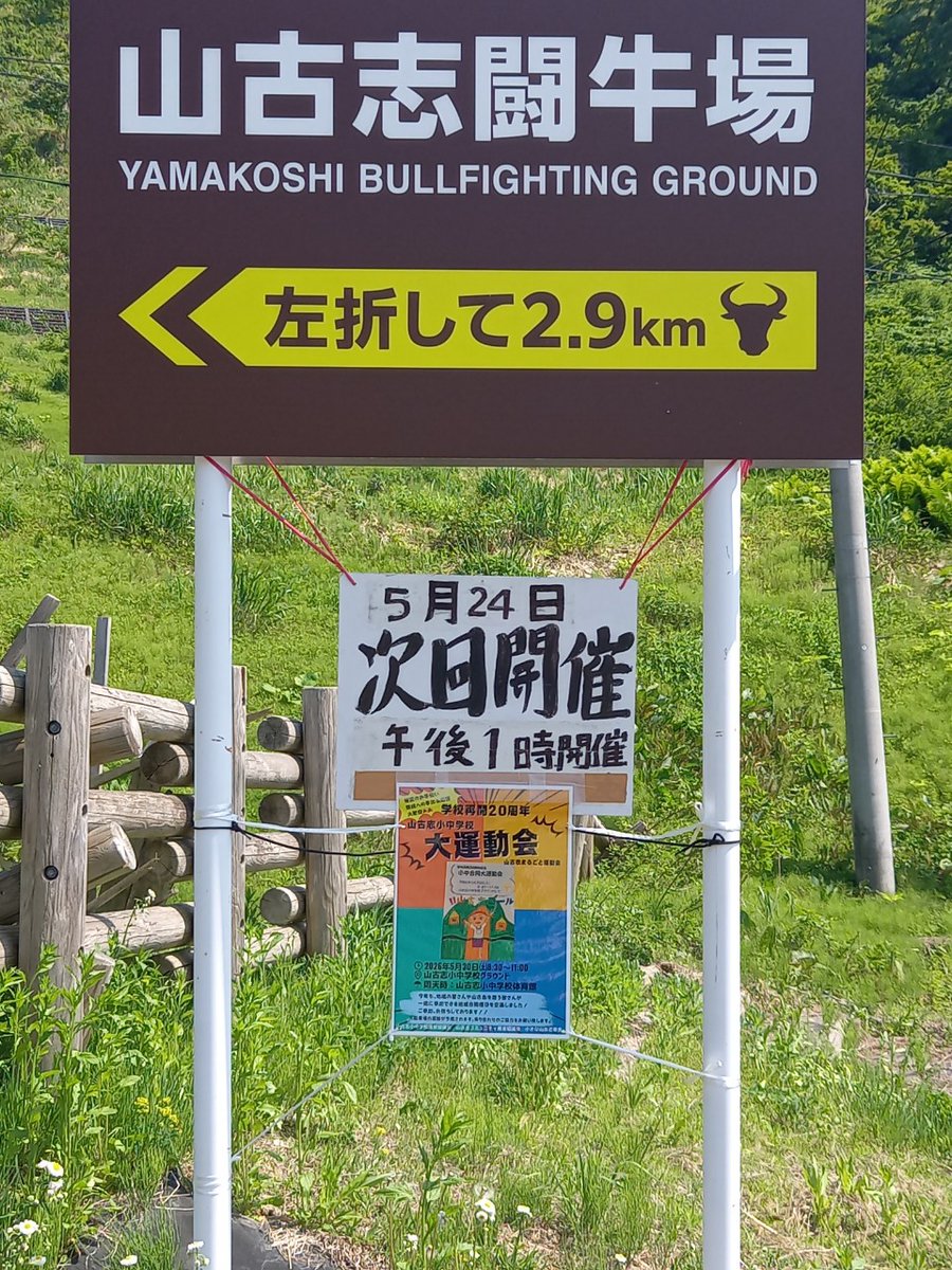 山古志住民会議 ┃竹内春華🎏【Nishikigoi NFT🇯🇵】 tweet media