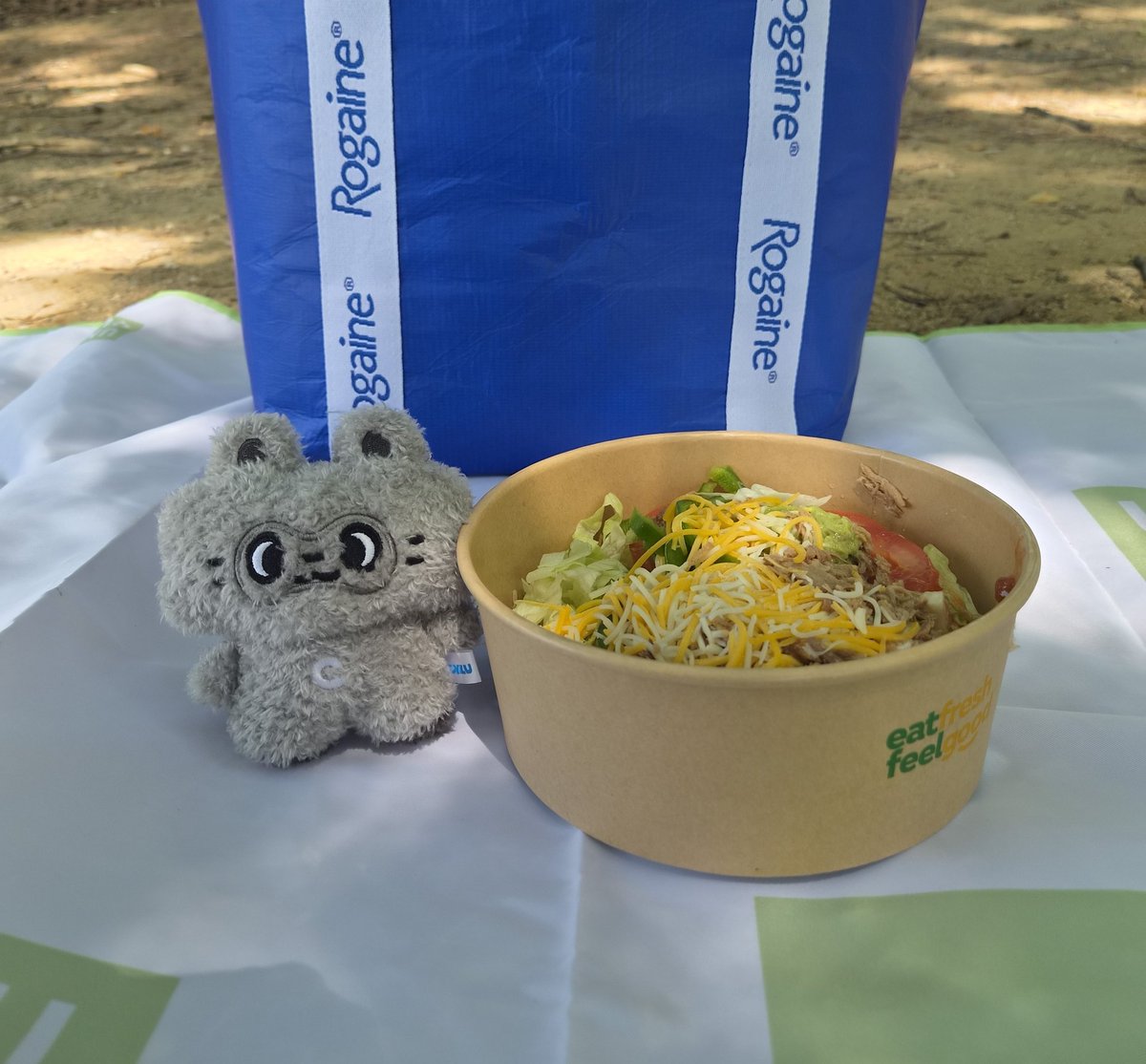 삥뿡아니구 빙붕🦝 tweet media