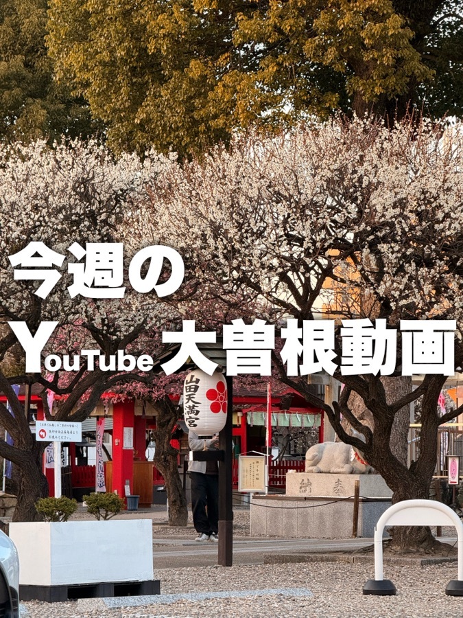 大曽根なび|名古屋大曽根ニュース・グルメ・イベント tweet media