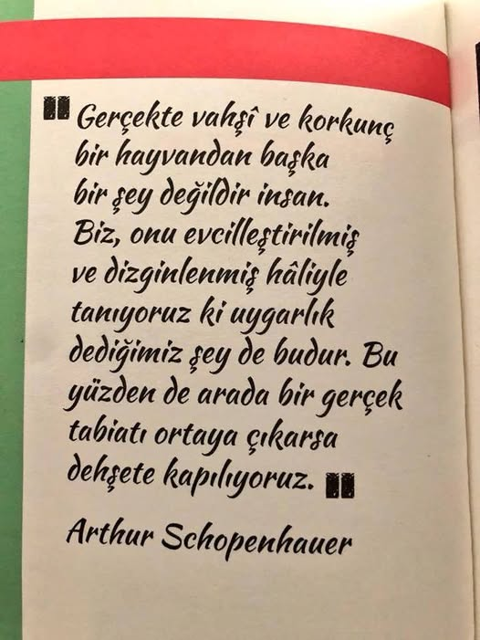 Ali Yonka tweet media