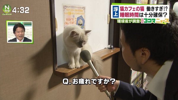 困惑bot tweet media