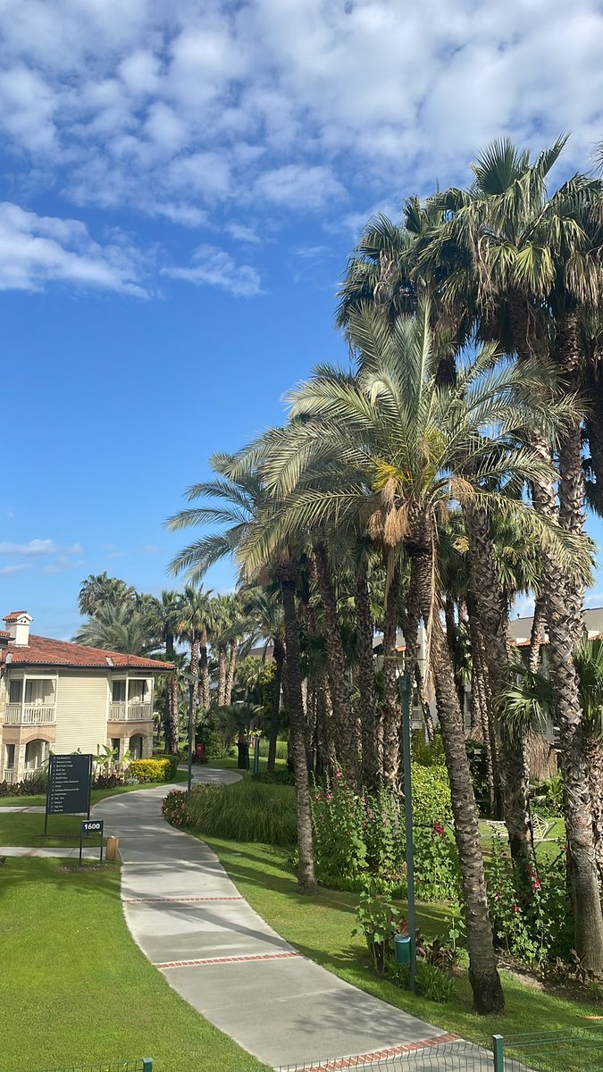 daveclandestine's tweet photo. Sunday morning. https://t.co/5Roi77qHn6