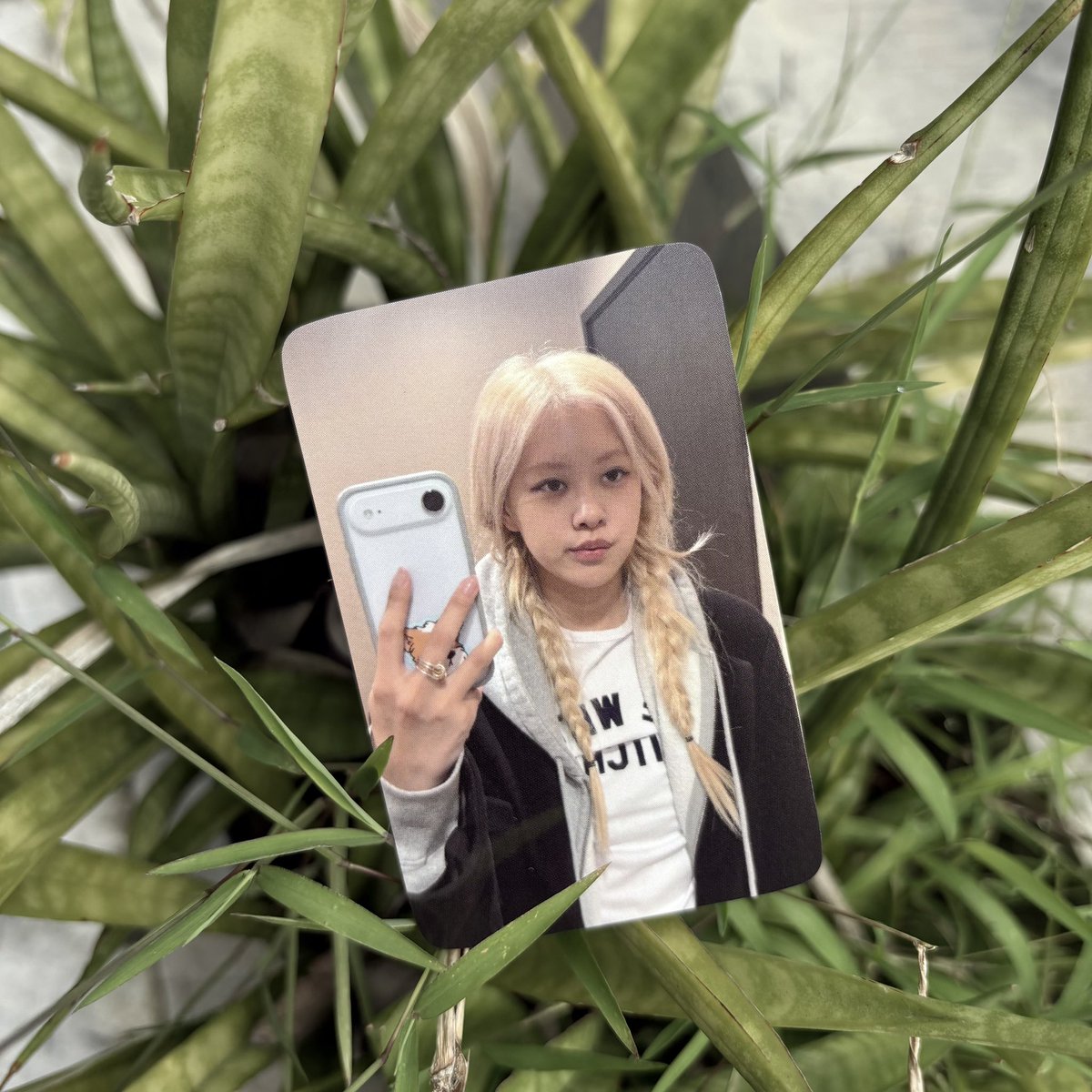 yg tweet media