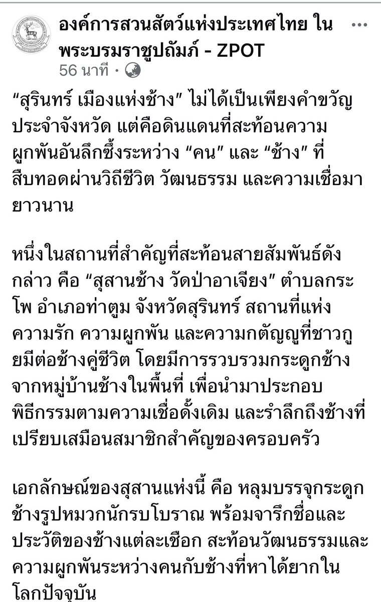 GolfyTT☕ tweet media