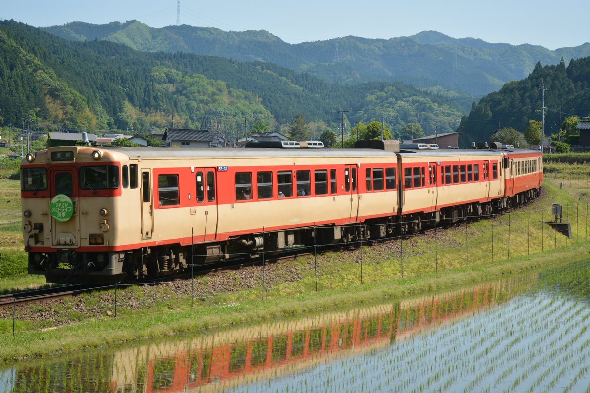 SokuseiNissy's tweet photo. ５／１６（土）9624D 「みまさかスローライフ列車」
 キハ47-1036 + キハ47-47 + キハ40-2134   
 
お天気に恵まれ今年も走ってくれました。
国鉄ふう２色塗りのキハ４０系３連を見れるのは全国でもここだけ。また撮りに来たいです。 https://t.co/E6H5AMha9d