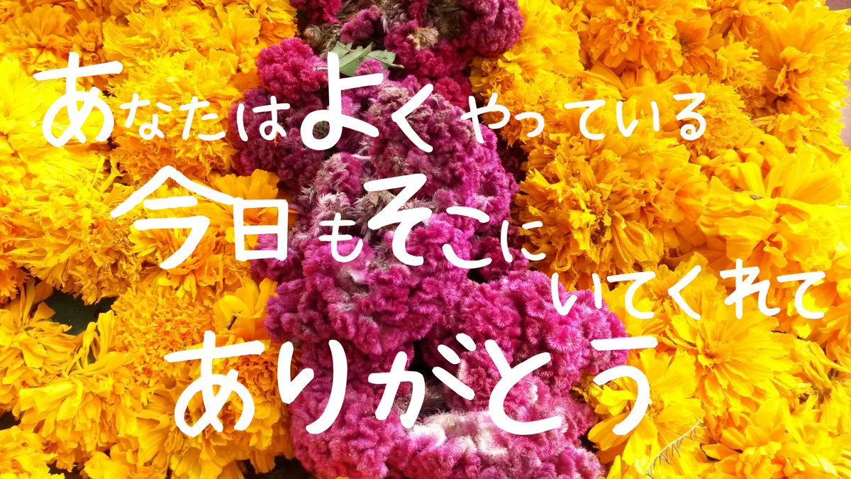 LuTo7853's tweet photo. おはよ🌞
怖さがある日は
無理に強くならなくていい。

怖いままでも
進める日がある。

🫶セルフケア
胸に手をあてて
「一緒に行こうね」
と自分に声を��ける。 https://t.co/taXjO4f4WH