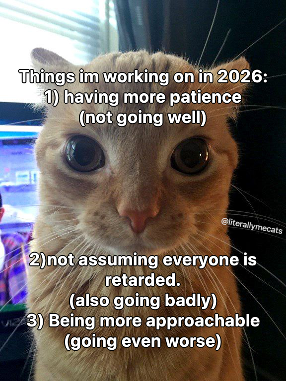 LiterallyMeCats tweet media