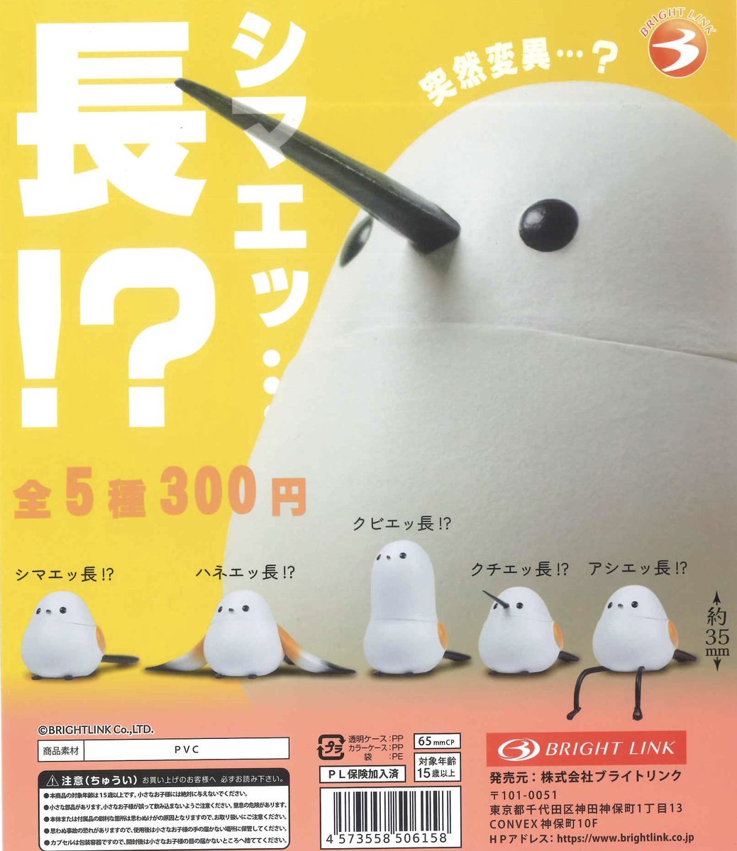 🌟入荷情報🌟 ◉ もみもみたぬきん。2 ◉ シマエッ…長⁉ ◉ 座禅～其の