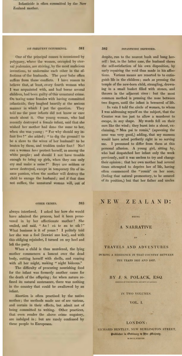 The Anglo Saxon (Ngati Æthelstan) Apteryx tweet media