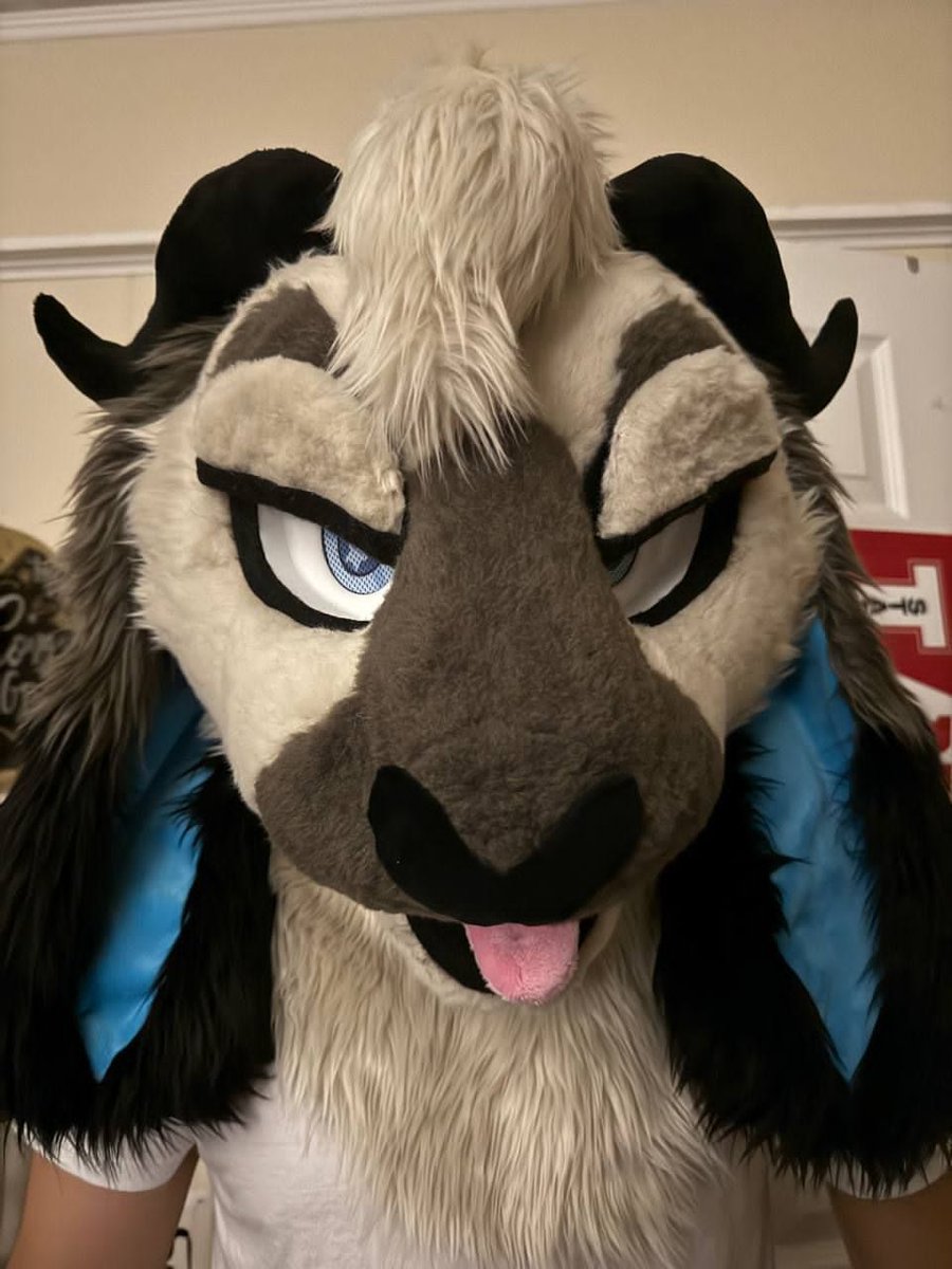 tamogoat's tweet photo. @Swinty_ Its always gm... https://t.co/K0c0Y8gxEr