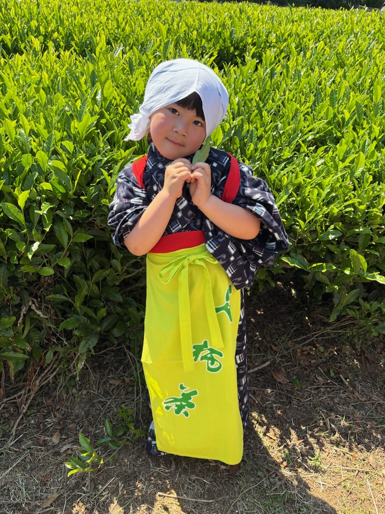 ashigaracya's tweet photo. 本日晴天の中、毎年恒例の茶摘み体験を行いたくさんの方に参加いただきました。
気温が上昇する中、一心にお茶を摘みその合間で、新茶や天ぷらを楽しみました。
またお子様の茶娘姿もとても可愛いですね。
#足柄茶
#緑茶
#新茶
#かながわブランド
#神奈川名産100選 https://t.co/r9n60RT1ec