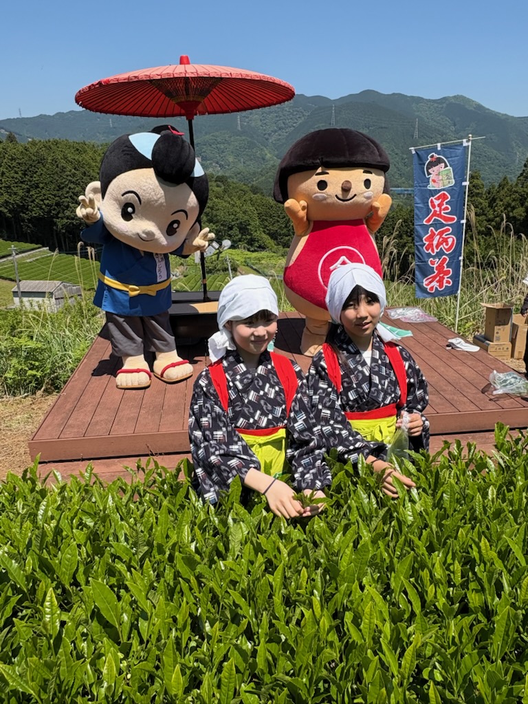 ashigaracya's tweet photo. 本日晴天の中、毎年恒例の茶摘み体験を行いたくさんの方に参加いただきました。
気温が上昇する中、一心にお茶を摘みその合間で、新茶や天ぷらを楽しみました。
またお子様の茶娘姿もとても可愛いですね。
#足柄茶
#緑茶
#新茶
#かながわブランド
#神奈川名産100選 https://t.co/r9n60RT1ec