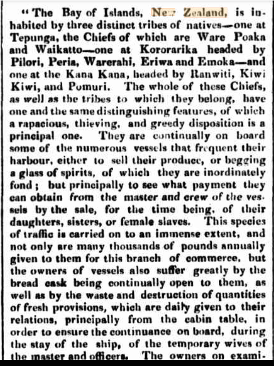The Anglo Saxon (Ngati Æthelstan) Apteryx tweet media