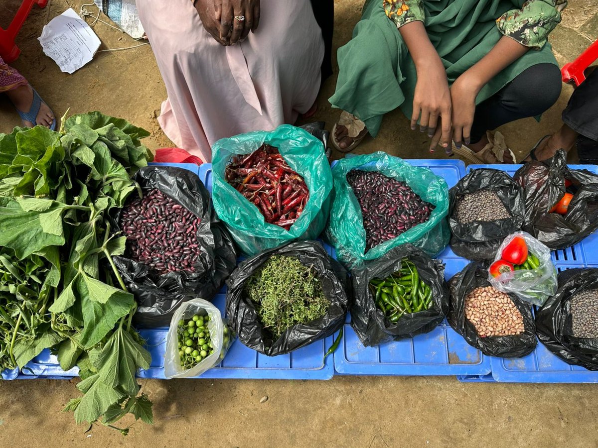 WFP_Bangladesh's tweet photo. ADB delegation visited Cox’s Bazar to see WFP support for Rohingya refugees and host communities.
From aggregation centres linking farmers to markets to slope stabilization in camps, talks focused on livelihoods, resilience, and future investment.
#wfpbd50 @ADB_HQ https://t.co/lPIpJpIivY