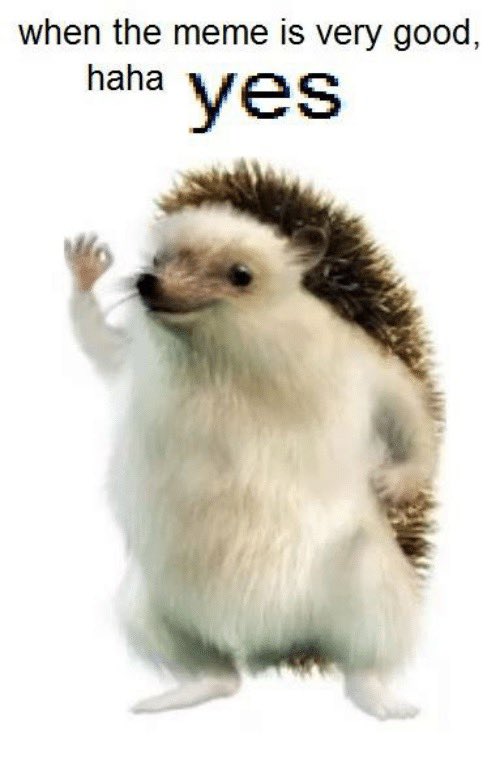 Rizo Ethereum 🦔 tweet media