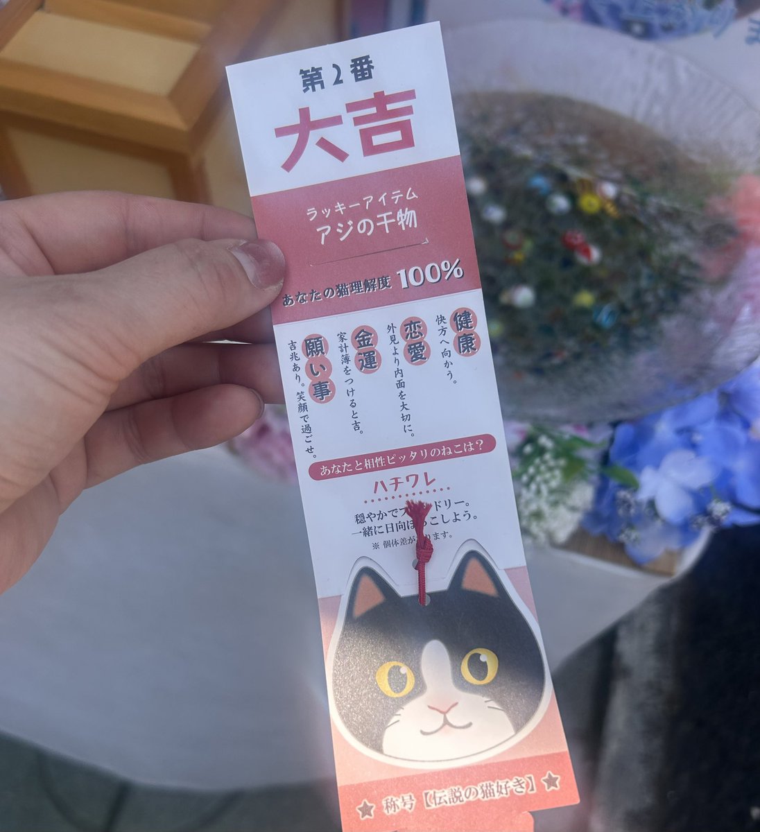 みさ𓏲𓎨 tweet media