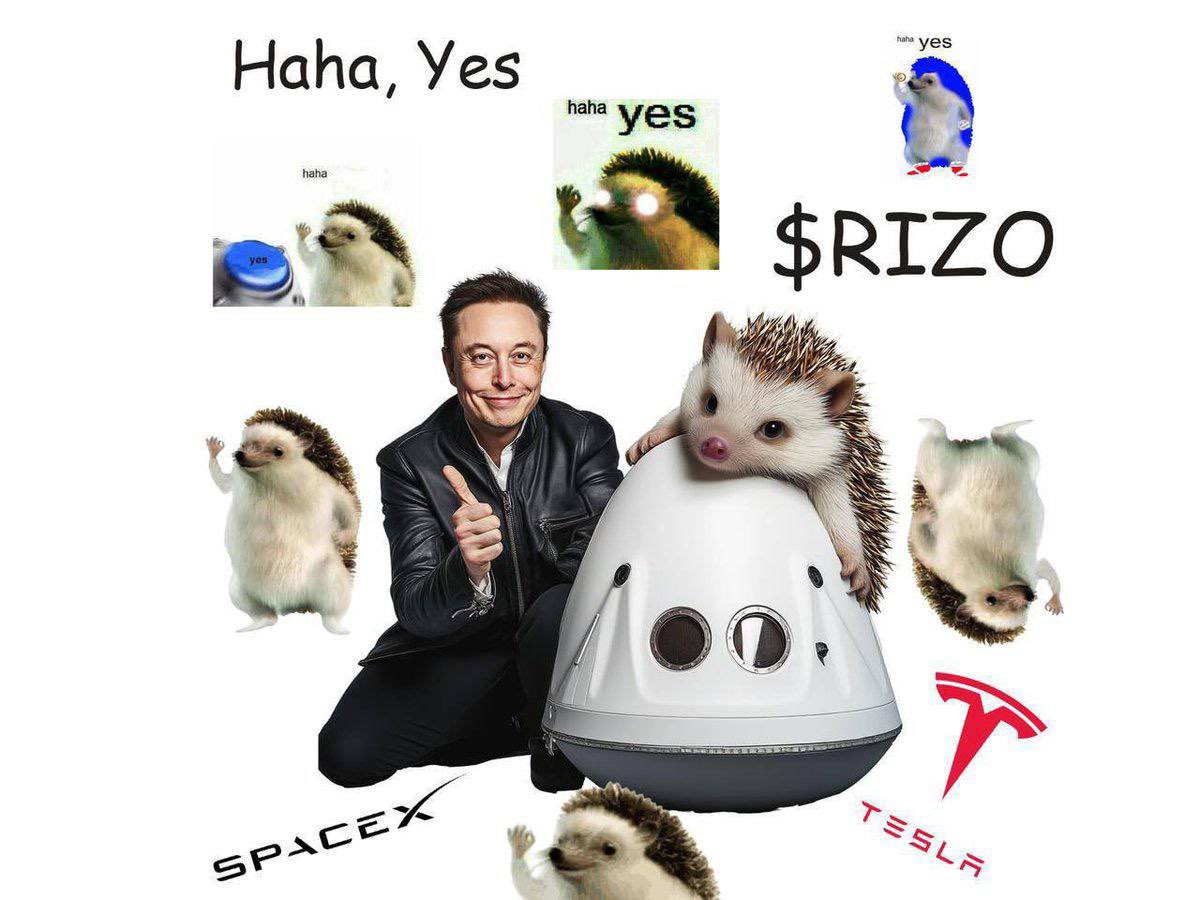 Rizo Ethereum 🦔 tweet media