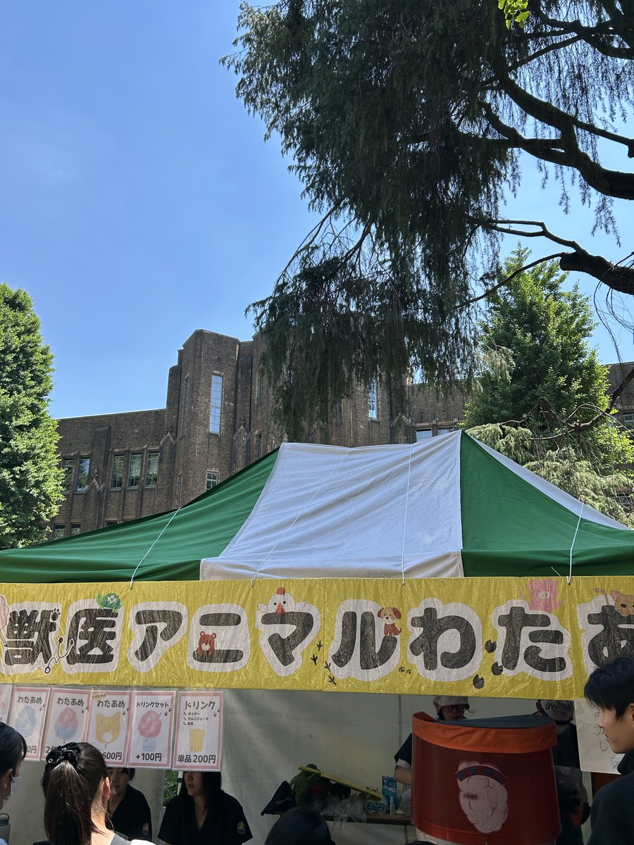 東京大学 獣医外科学研究室 (@UTvetsurgery) / Posts / X