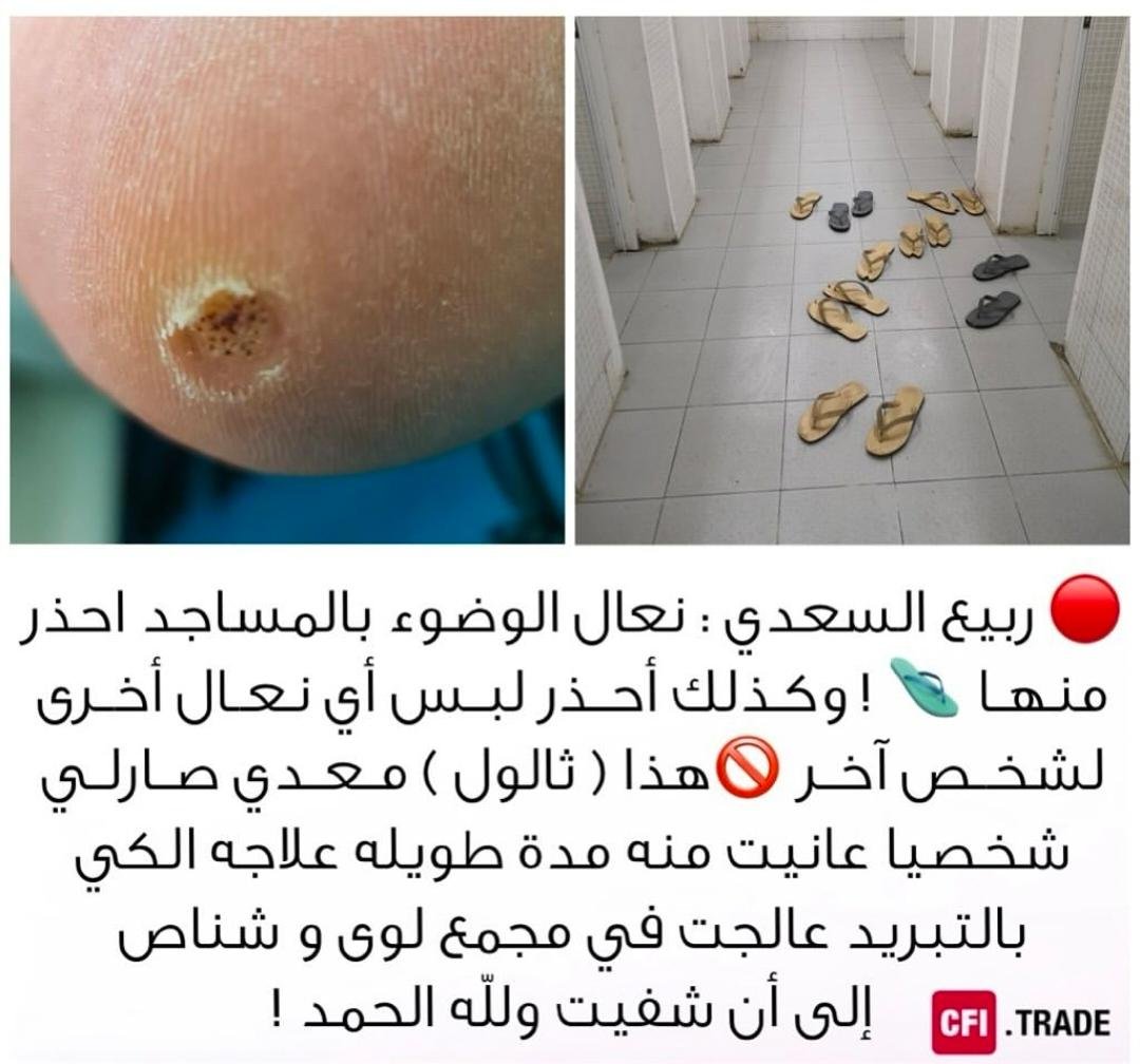 سعود القاسمي🇴🇲 tweet media
