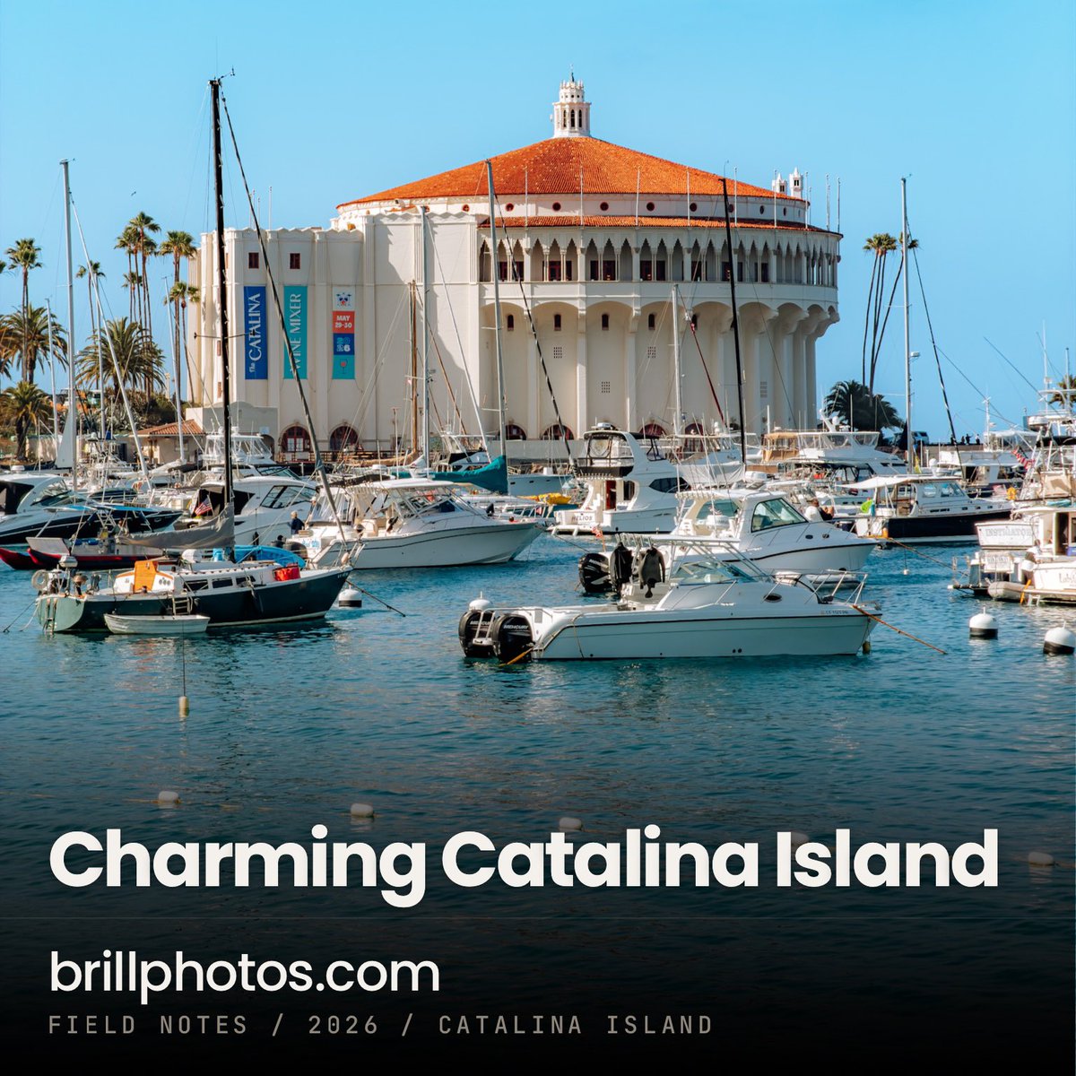 robertbrill_la tweet media